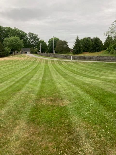 Gallery photos for Lawn Mowing Excellence by Nicks Landscaping: Image #3