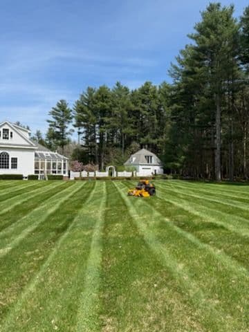 Revitalize Your Landscape with Nick's Landscaping