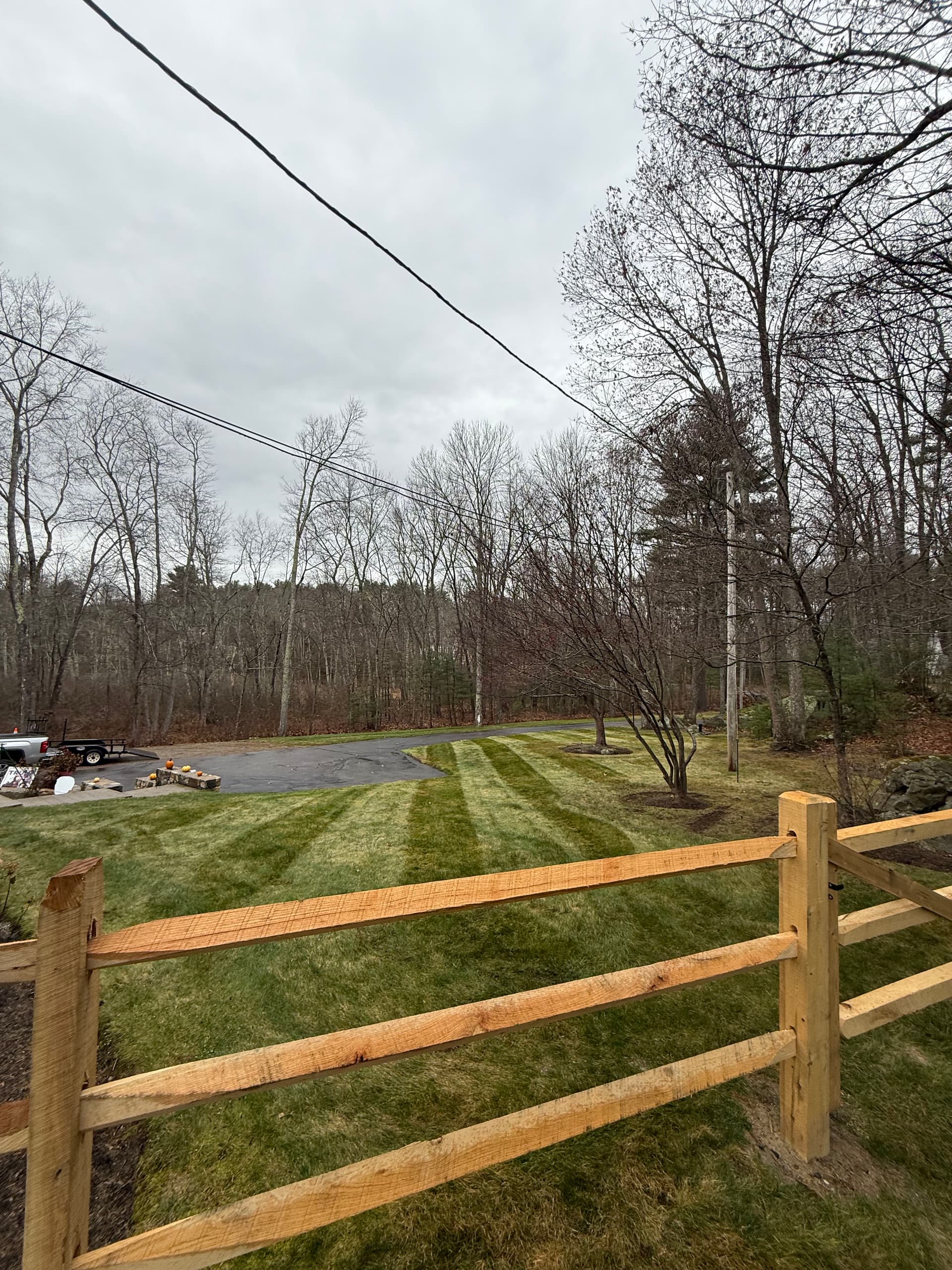 Gallery photos for Autumn Lawn Perfection with Nicks Landscaping: Image #2