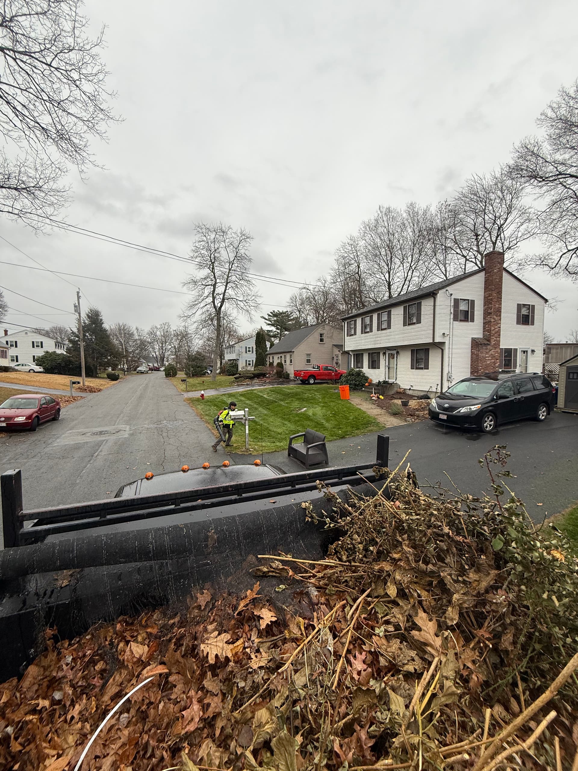 Gallery photos for Autumn Lawn Perfection with Nicks Landscaping: Image #1